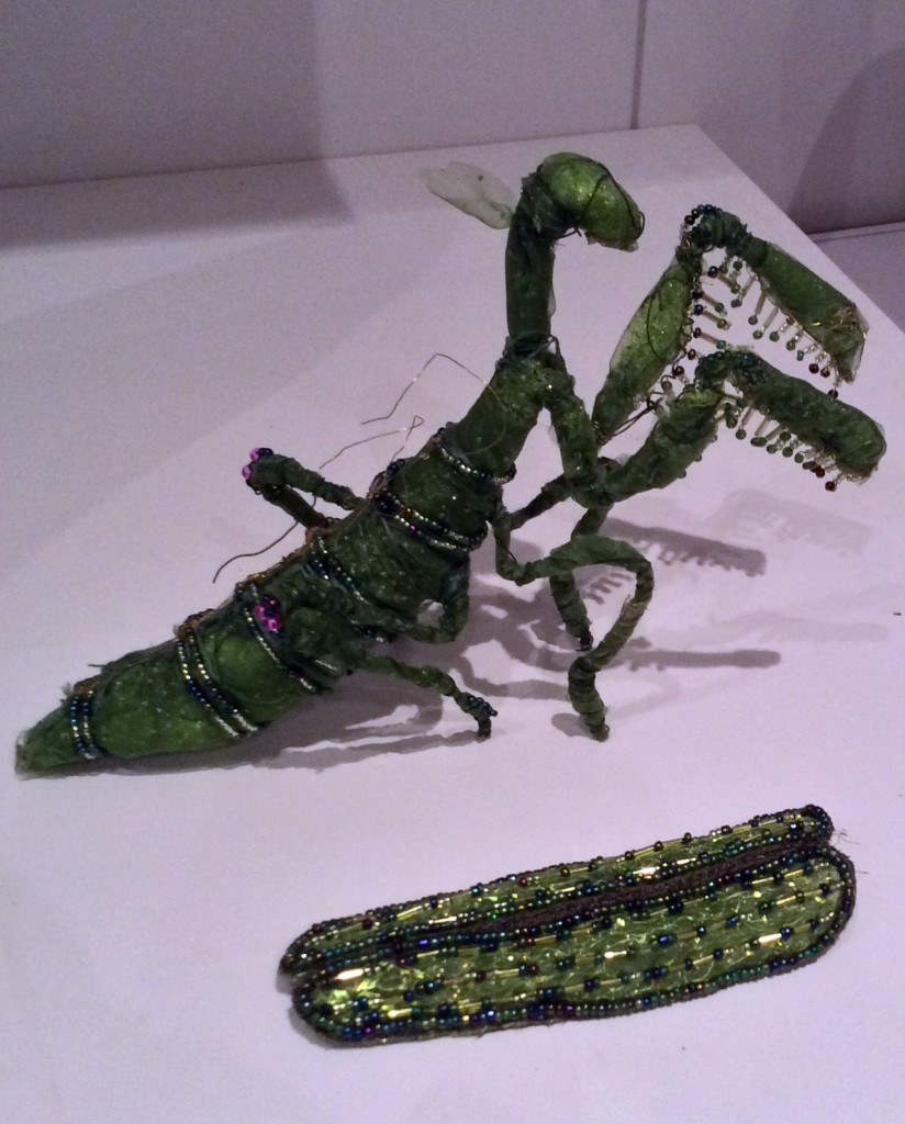 mantis WIP Suzanne Forbes