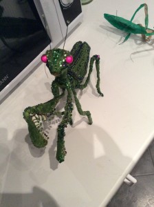 Mantis by Suzanne Forbes 2015