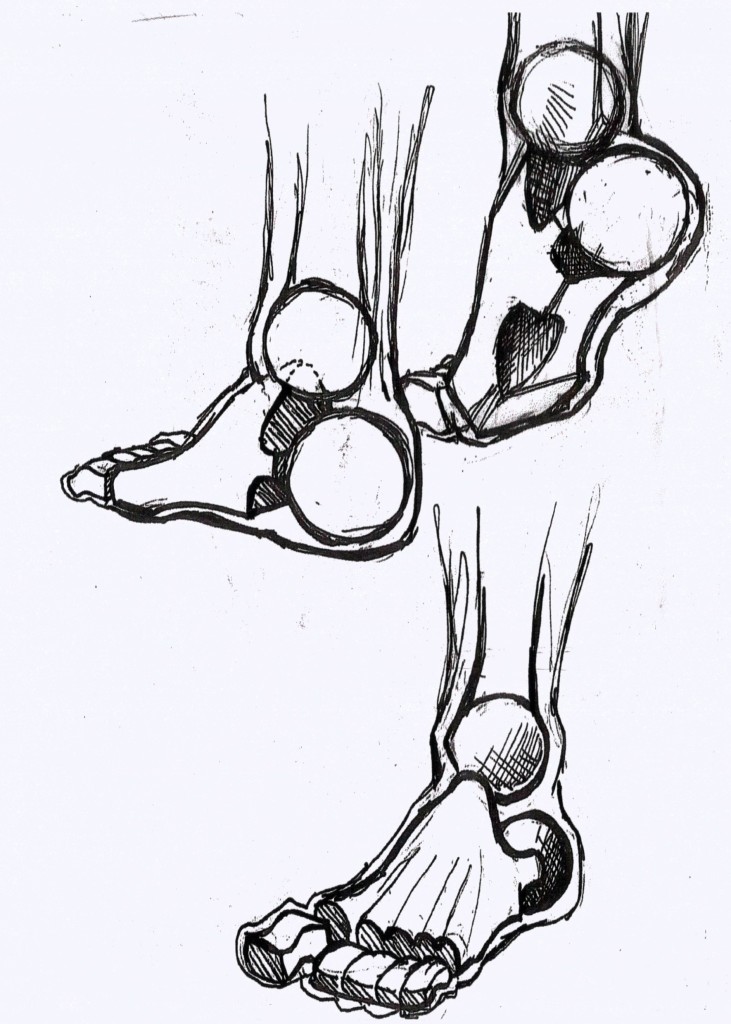 foot drawing by Suzanne Forbes 2016
