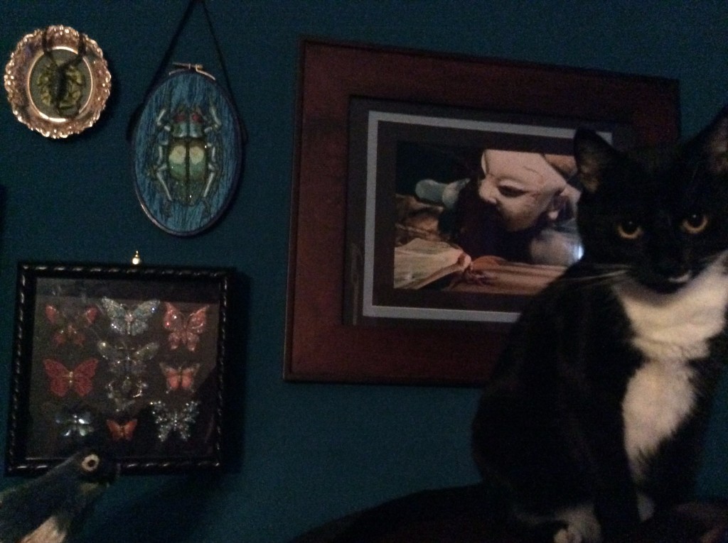 Morgan_Suzanne_Forbes