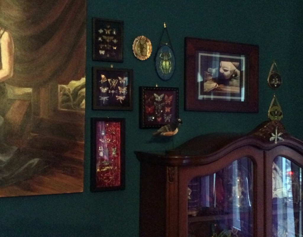 No_Kill Butterfly Gallery with painting by Suzanne Forbes