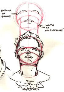 Head construction by Suzanne Forbes 2016