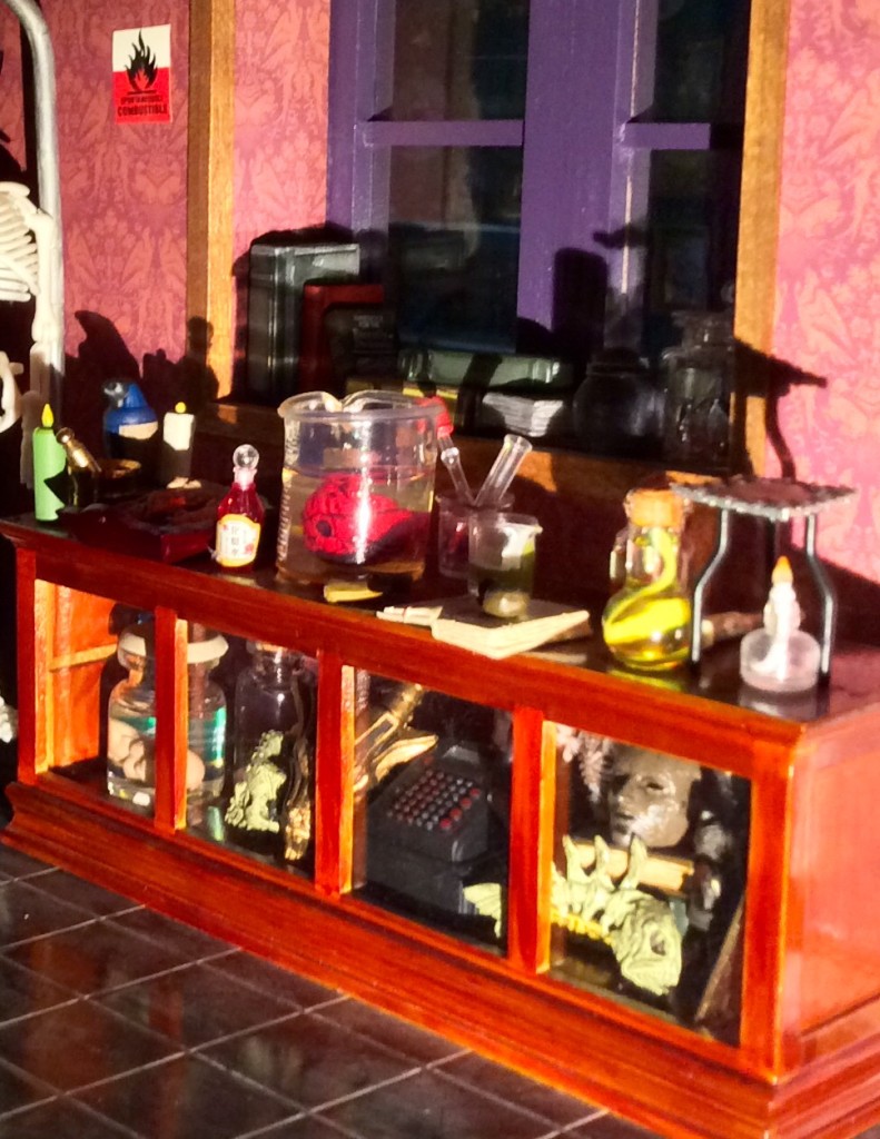 Action Figure Dollhouse by Suzanne Forbes