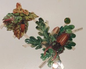 decoupage stag beetles