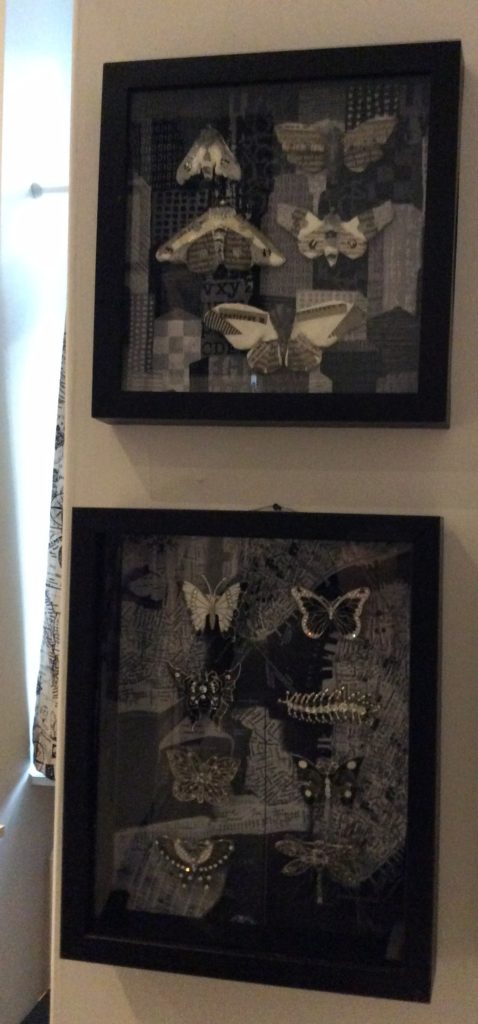 black and white bug shadowboxes by Suzanne Forbes 2016