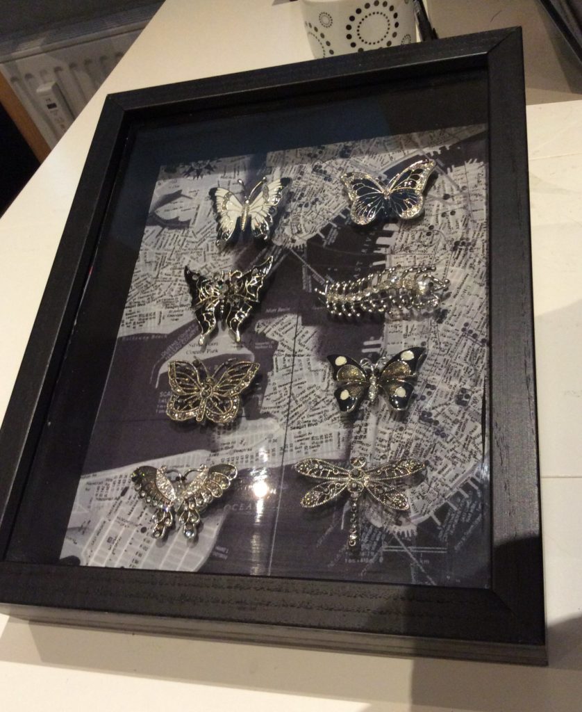 black white jewelled moth shadowboxes Suzanne Forbes 2016