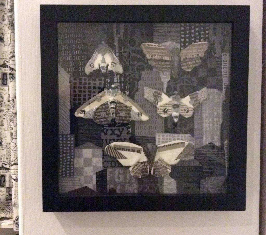 newsprint moth shadowbox Suzanne Forbes 2016