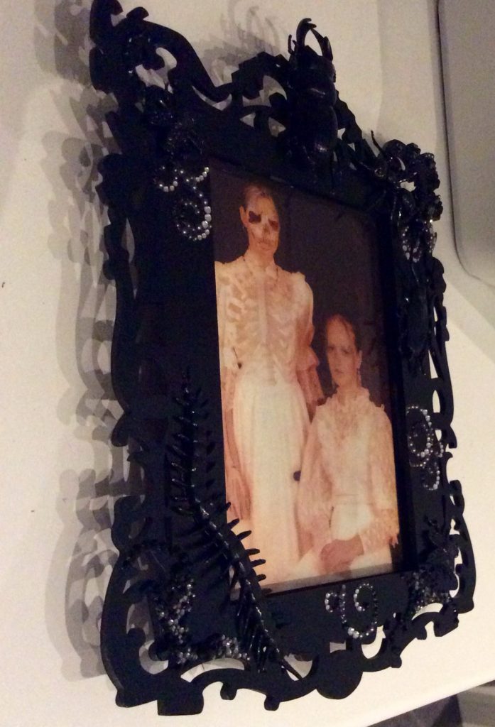 Suzanne Forbes bug frame 2016 