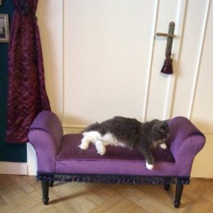 vivienne on bench 2016 - Edited