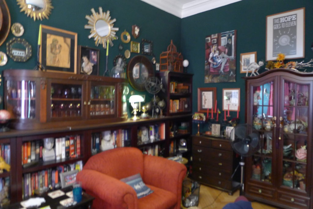 Suzanne Forbes decor library