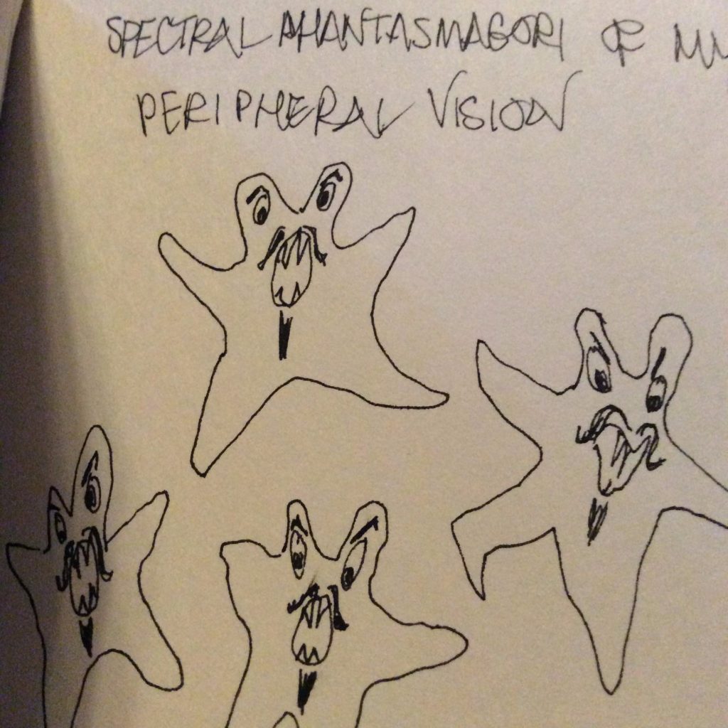 Spectral phantasmagoria of my peripheral vision 1981: journal drawing, winter 1981