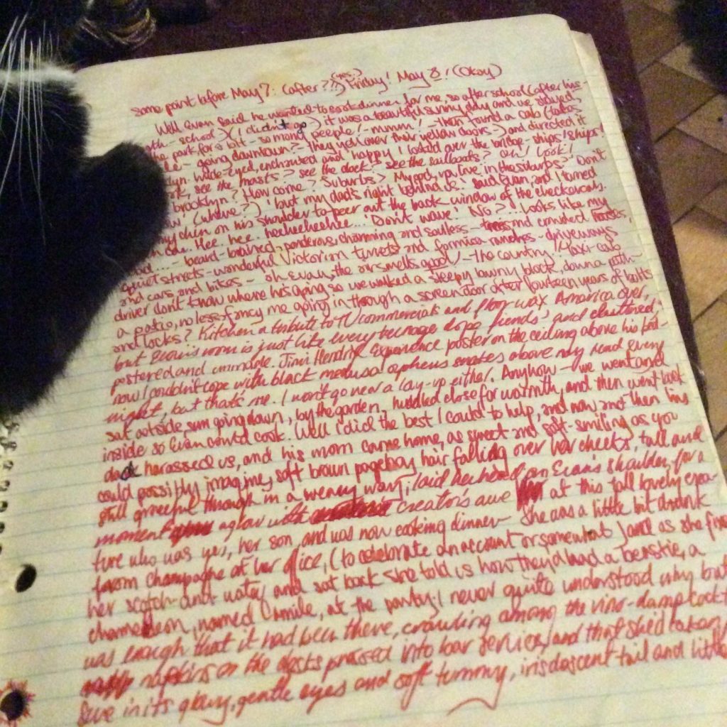 May 8, 1981 journal page