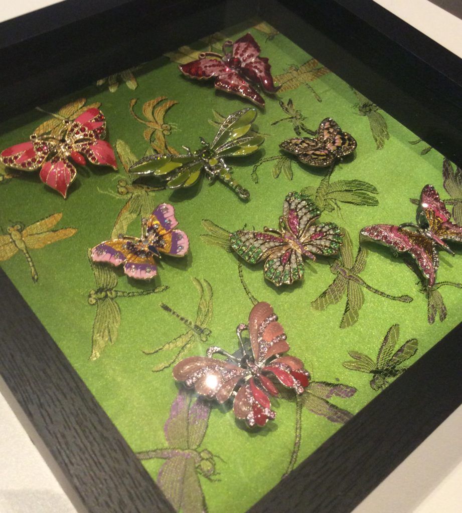 jewelled insect shadowbox by Suzanne Forbes June 2017