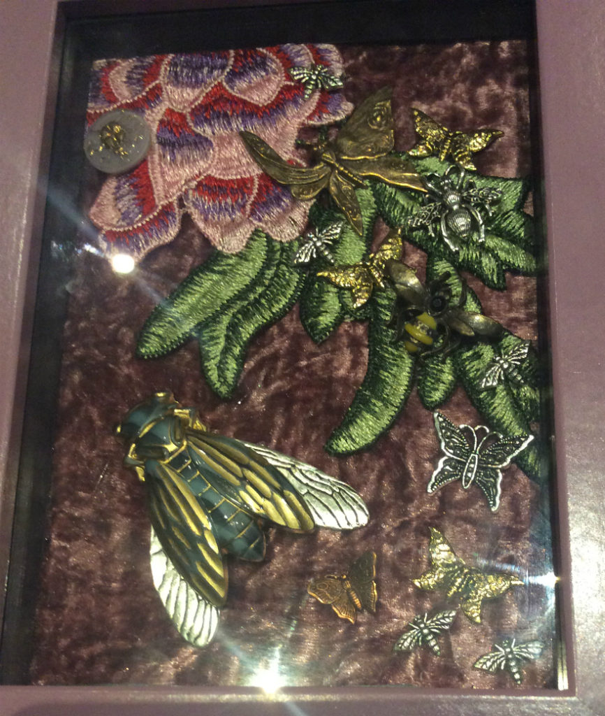 Cicada shadowbox by Suzanne Forbes